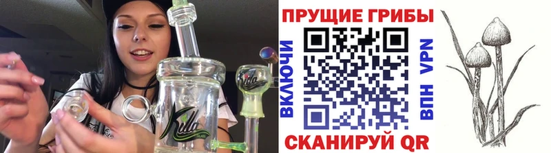 Купить закладки  Дальнереченск  Псилоцибиновые грибы прущие грибы 