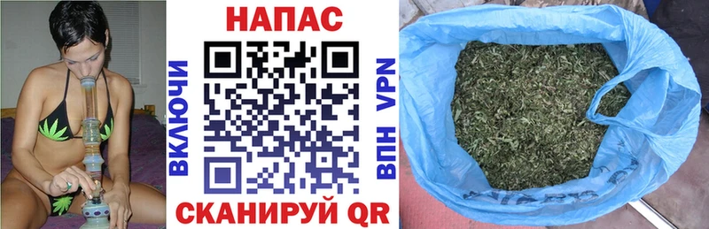 Бошки марихуана планчик  Купить  Дальнереченск 